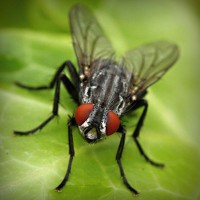 /album/liozonliper/photolia-a01-jpg/