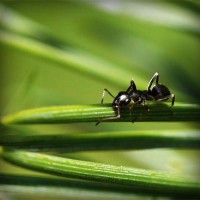 /album/liozonliper/photolia-a05-jpg/