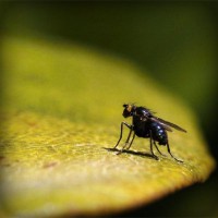/album/liozonliper/photolia-a07-jpg/
